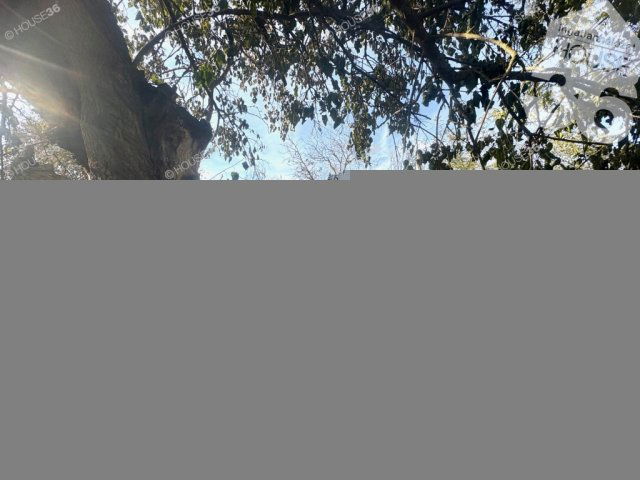 Eladó családi ház, Kecskeméten 20.9 M Ft, 1 szobás