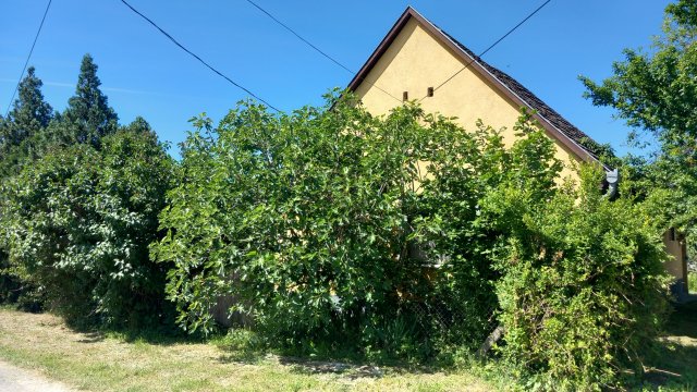 Eladó családi ház, Őcsényen 28.9 M Ft, 2 szobás