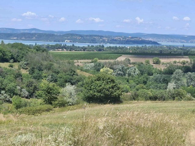 Eladó telek, Kőröshegyen 59 M Ft / költözzbe.hu