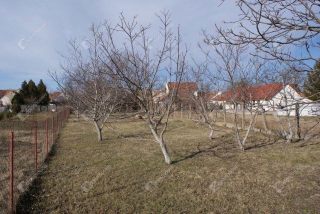 Eladó családi ház, Székesfehérvárott 65 M Ft, 5 szobás