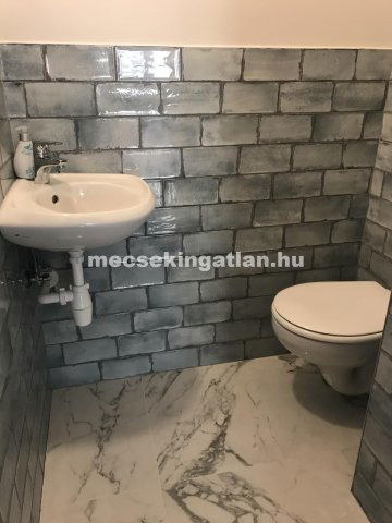 Kiadó téglalakás, albérlet, Pécsett, Papnövelde utcában