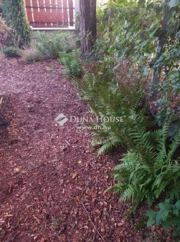 Eladó családi ház, Szentmártonkátán 18.9 M Ft, 2 szobás