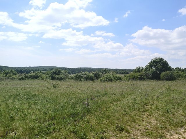 Eladó mezogazdasagi ingatlan, Vászolyon 98 M Ft