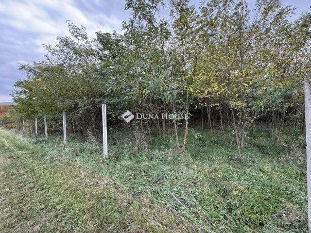 Eladó telek, Nyergesújfaluban 7.8 M Ft / költözzbe.hu