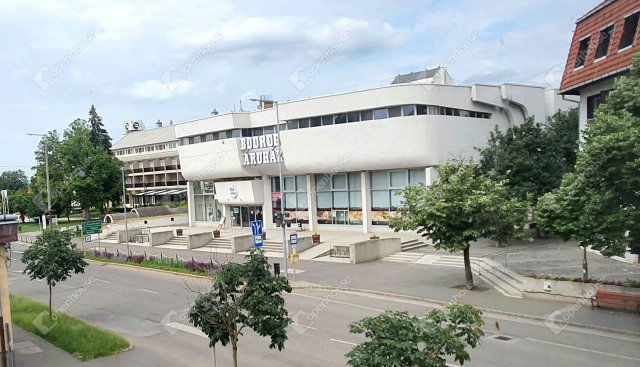 Kiadó üzlethelyiség, Sárospatakon 236 E Ft / hó, 3 szobás