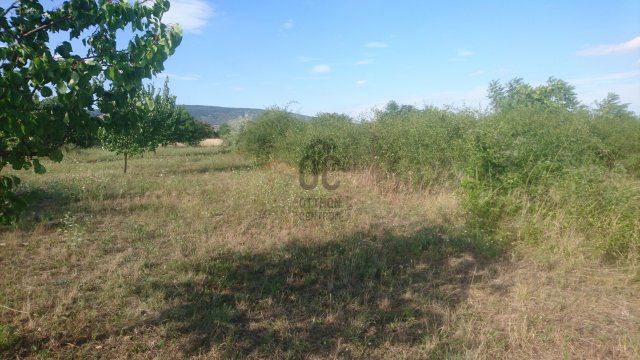 Eladó telek, Törökbálinton 29 M Ft / költözzbe.hu