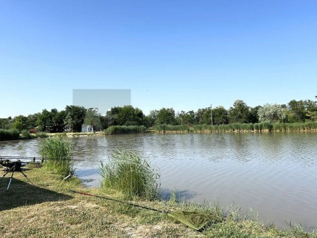 Eladó mezogazdasagi ingatlan, Szegeden 135 M Ft