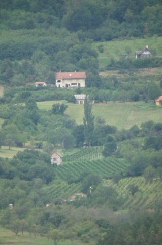 Eladó mezogazdasagi ingatlan, Köveskálon 34.9 M Ft