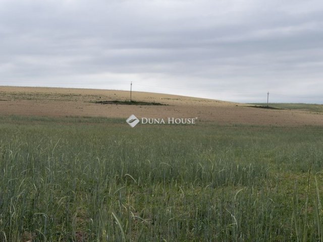 Eladó mezogazdasagi ingatlan, Szomódon 5.5 M Ft