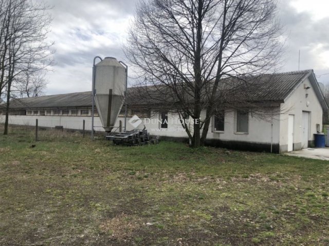 Eladó mezogazdasagi ingatlan, Kecskeméten 79 M Ft