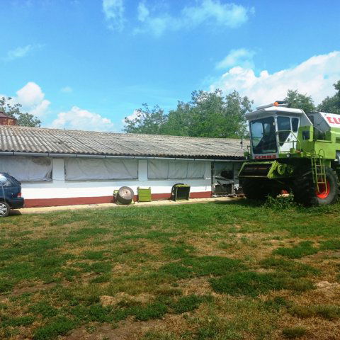 Eladó családi ház, Székkutason 65 M Ft, 5 szobás