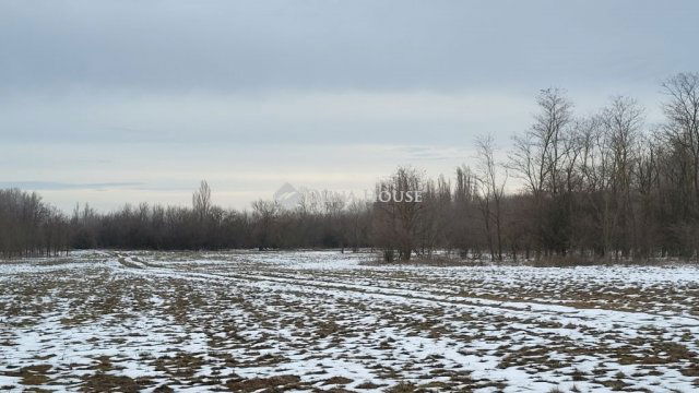 Eladó mezogazdasagi ingatlan, Szankon 21.7 M Ft