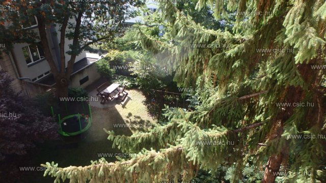 Kiadó téglalakás, albérlet, Budapesten, II. kerületben