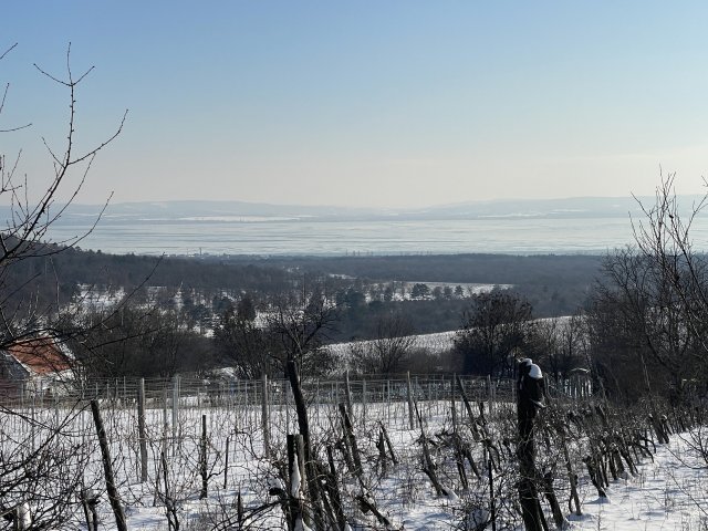 Eladó mezogazdasagi ingatlan, Dörgicsén 65 M Ft
