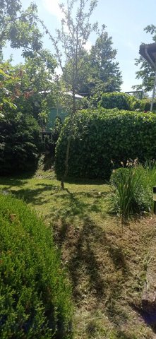 Eladó nyaraló, Zalakaroson 16.5 M Ft / költözzbe.hu