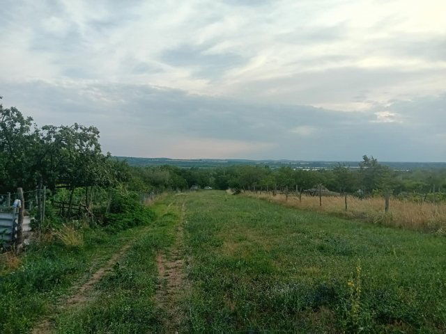 Eladó telek, Szomódon 5 M Ft / költözzbe.hu