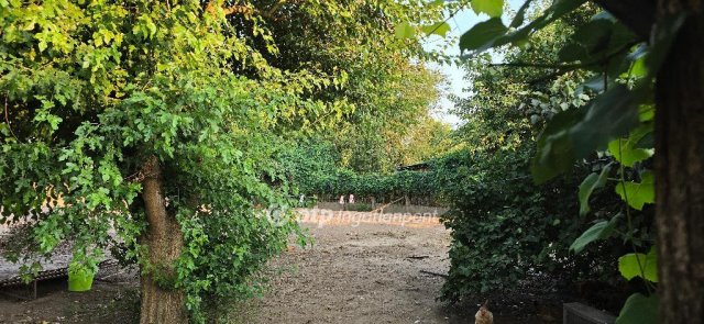 Eladó családi ház, Hajdúhadházon 17 M Ft, 2 szobás