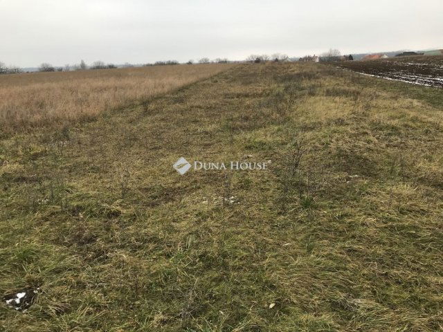 Eladó telek, Pátkán 7.49 M Ft / költözzbe.hu