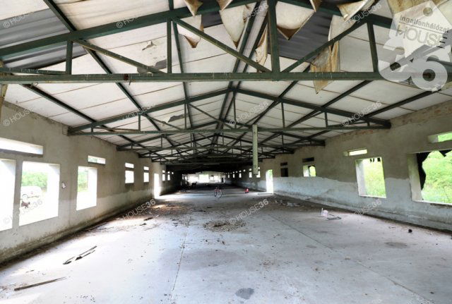 Eladó mezogazdasagi ingatlan, Lajosmizsén 42 M Ft