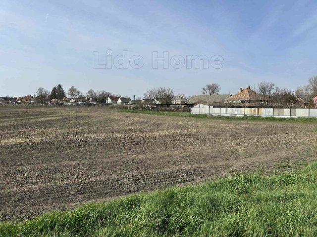 Eladó telek, Lepsényben 17 M Ft / költözzbe.hu