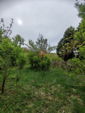 Eladó családi ház, Pécsett 16.5 M Ft, 2 szobás