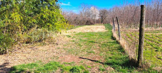 Eladó mezogazdasagi ingatlan, Nagyrécsén 7.9 M Ft