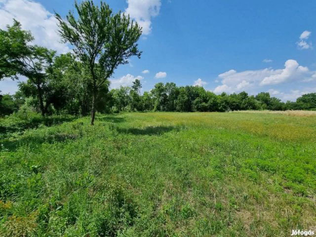 Eladó telek, Mezőtúron 12 M Ft / költözzbe.hu