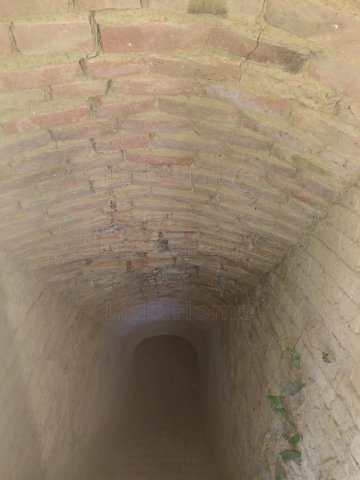 Eladó családi ház, Tengődön 24.9 M Ft, 2 szobás