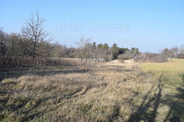 Eladó telek, Győrságon 13.5 M Ft / költözzbe.hu