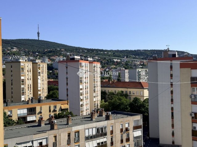 Kiadó panellakás, albérlet, Pécsett, Szigeti úton 200 E Ft / hó