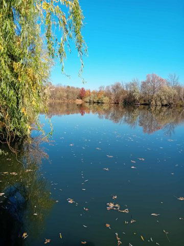Eladó telek, Mezőtúron 17.5 M Ft / költözzbe.hu