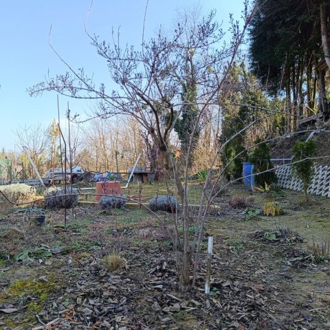 Eladó telek, Zalakaroson 9.99 M Ft / költözzbe.hu