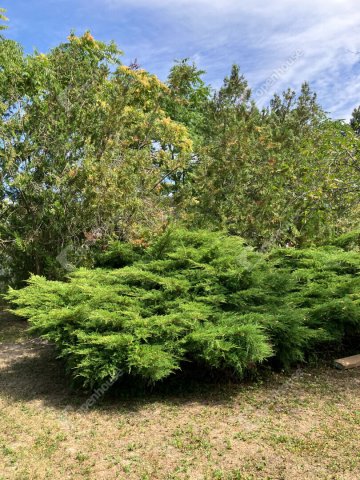 Eladó telek, Bőnyön 14.5 M Ft / költözzbe.hu