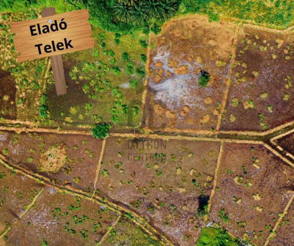 Eladó telek, Dabason 17.5 M Ft / költözzbe.hu