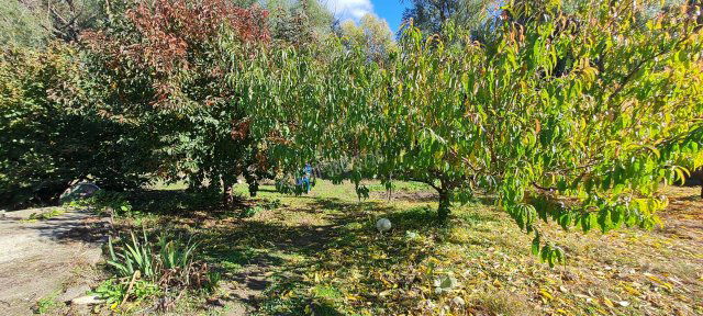 Eladó családi ház, Rácalmáson 52.9 M Ft, 2 szobás