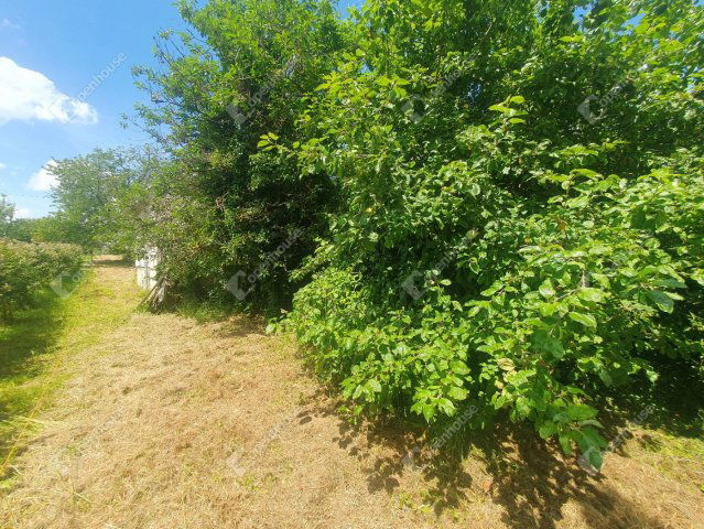 Eladó nyaraló, Csapiban 2.9 M Ft, 1 szobás / költözzbe.hu