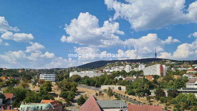Kiadó téglalakás, albérlet, Pécsett, Rókusalja utcában
