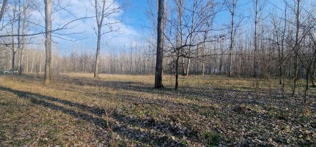 Eladó mezogazdasagi ingatlan, Cegléden 1 M Ft