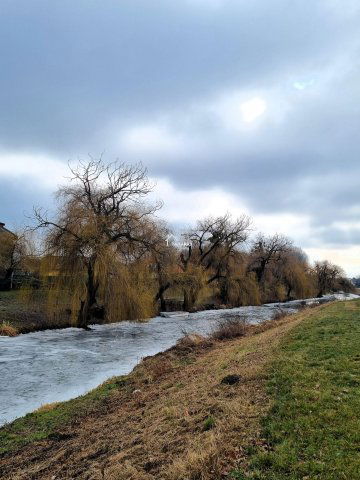 Eladó családi ház, Mosonmagyaróváron 98 M Ft, 3 szobás