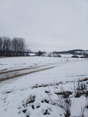 Eladó mezogazdasagi ingatlan, Környén 28 M Ft