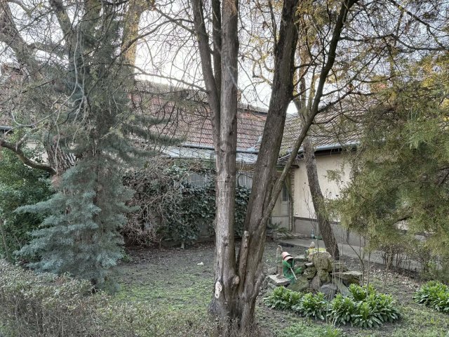 Eladó családi ház, Ceglédbercelen 79.9 M Ft, 5 szobás