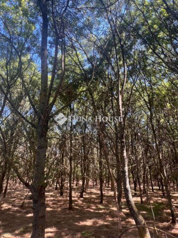 Eladó telek, Martfűn 13 M Ft / költözzbe.hu