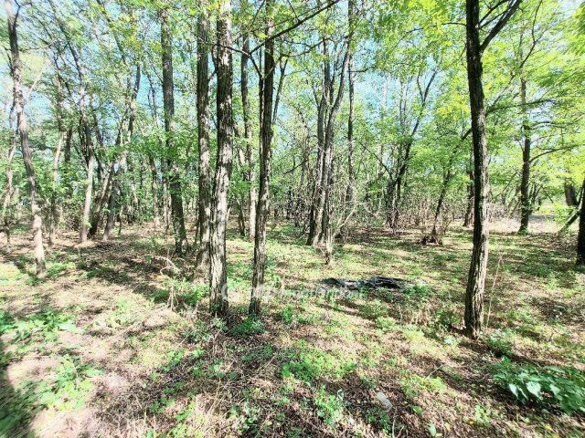 Eladó családi ház, Kecskeméten 124.9 M Ft, 1+4 szobás