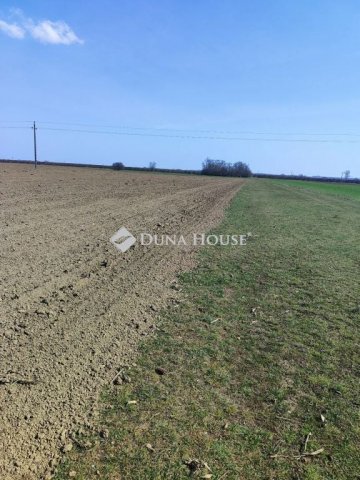 Eladó telek, Cigándon, Bem József utcában 3.1 M Ft