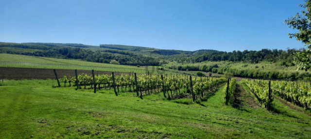 Eladó sorház, Balatonlelleén 24.9 M Ft, 2 szobás
