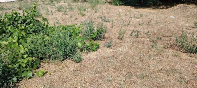 Eladó telek, Pilisen 15 M Ft / költözzbe.hu