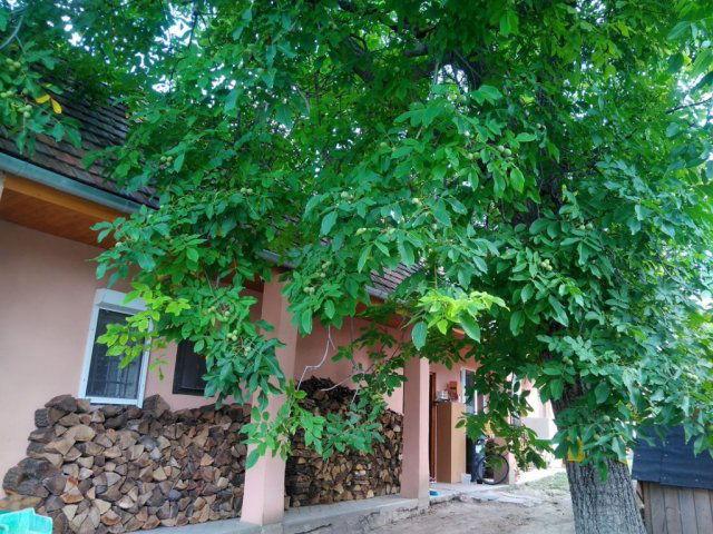 Eladó családi ház, Vereben 49.9 M Ft, 1+3 szobás