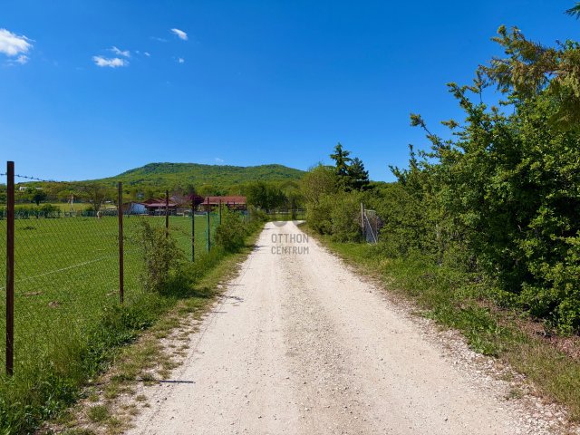 Eladó mezogazdasagi ingatlan, Szentendrén 13 M Ft