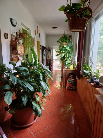 Eladó családi ház, Tiszaalpáron 31.9 M Ft, 2+1 szobás