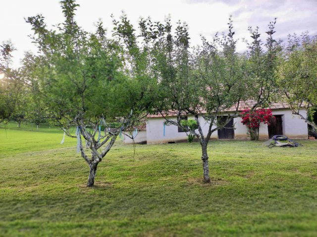 Eladó mezogazdasagi ingatlan, Kehidakustányban 9 M Ft